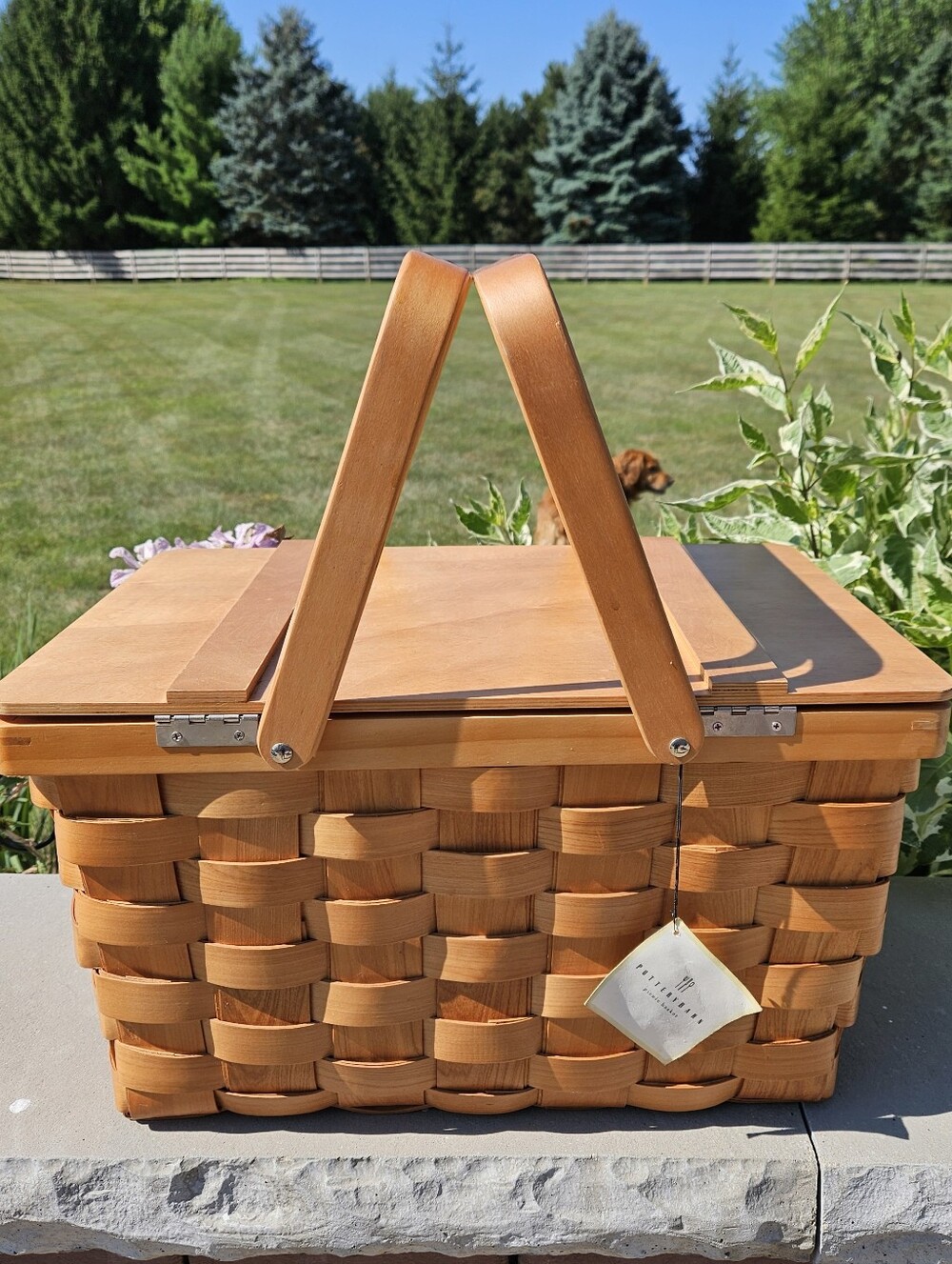 Pottery Barn New Woven Wooden Picnic Basket with Dual Top Handles - Natural Wood